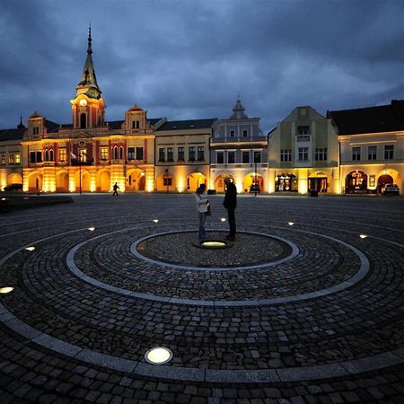 Ubytovani U Vinice Mělník Esterno foto